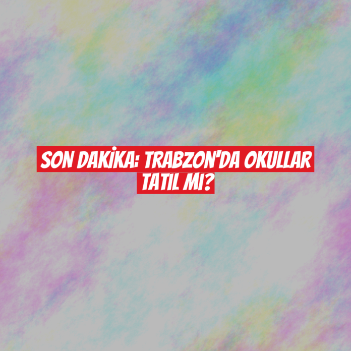 SON DAKİKA: Trabzon'da Okullar Tatil mi?