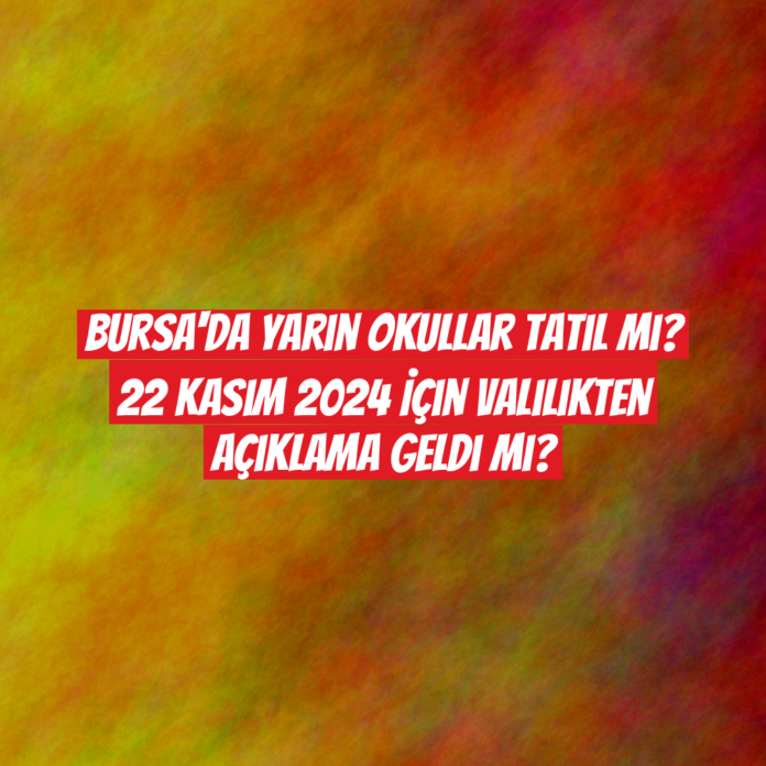 Bursa'da Yarın Okullar Tatil Mi? 22 Kasım 2024 İçin Valilikten Açıklama Geldi Mi?